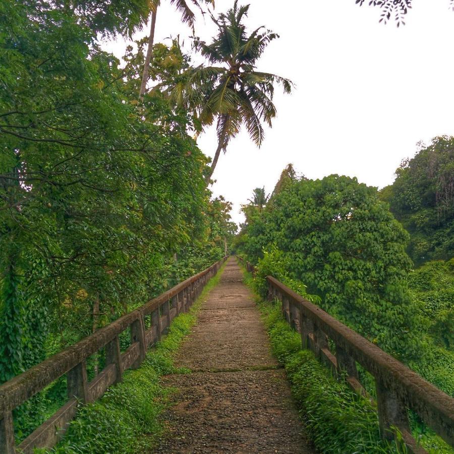 Back Packers Cochin Villa Kochi Exterior foto